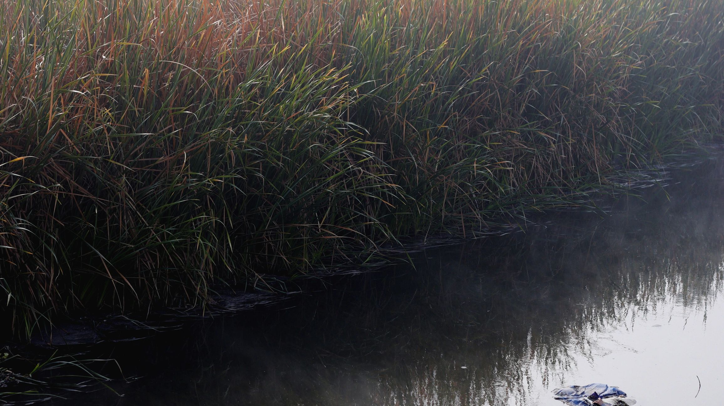 River landscape in winter