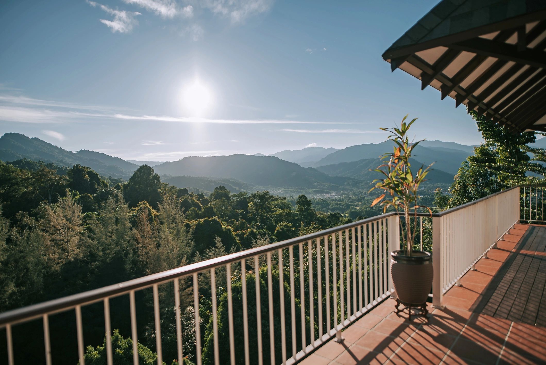 Sunlit walkway surrounded by trees with mountains in the distance