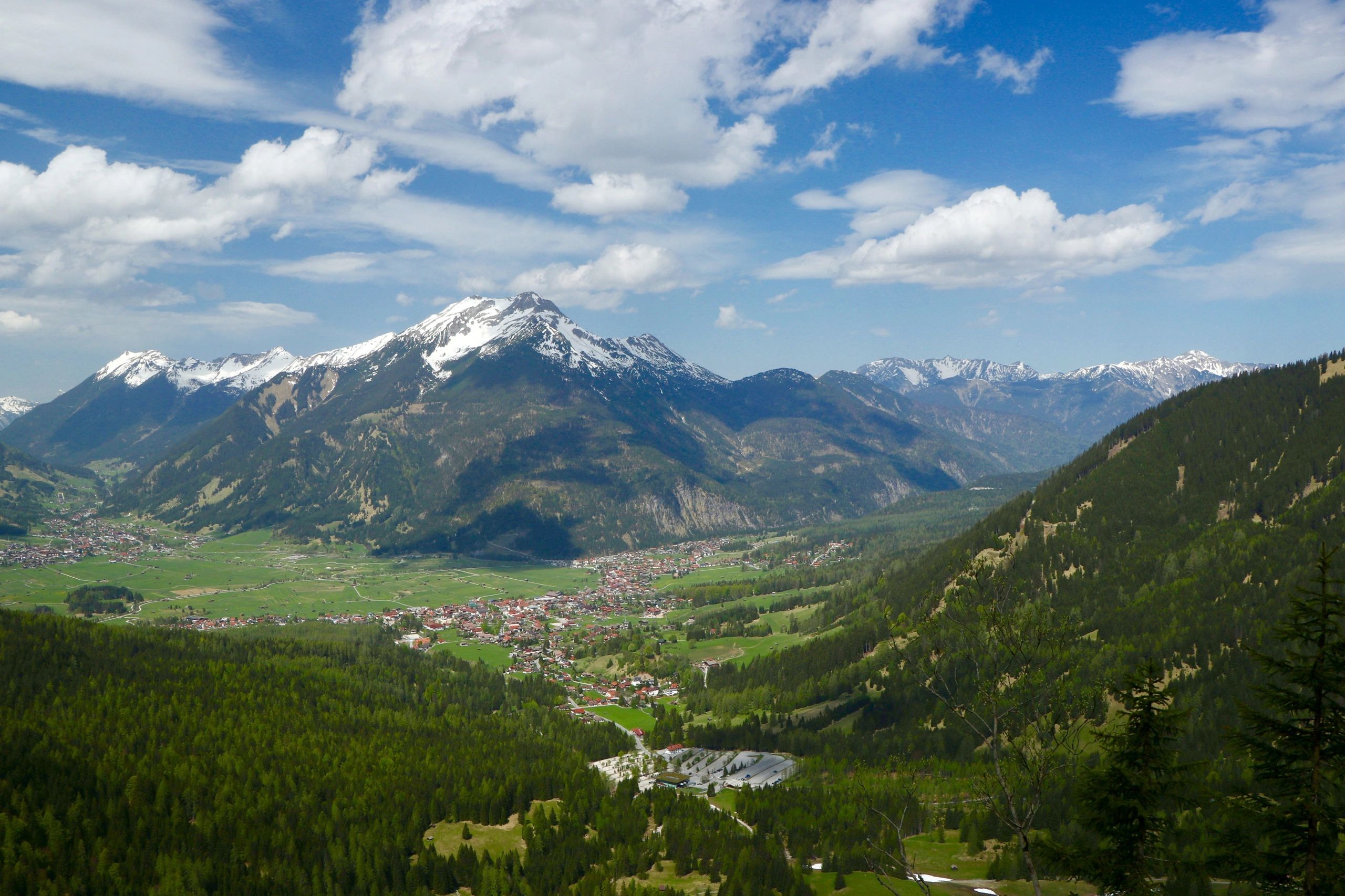 Snow-capped Himalayan mountains above a green forest