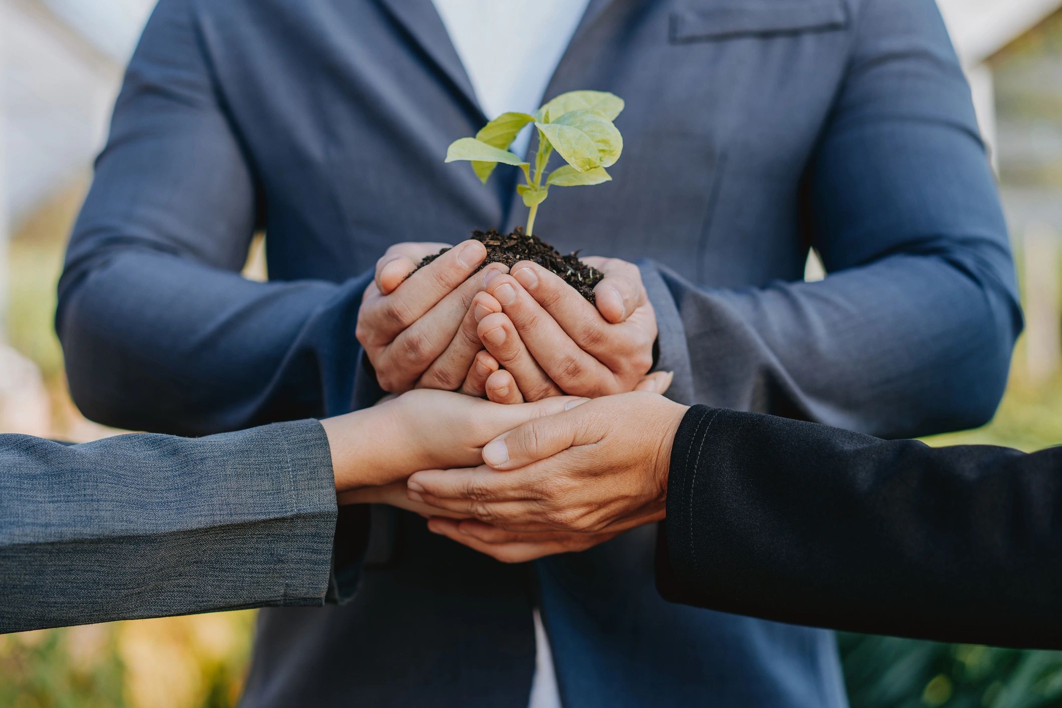 Group holding a tree sapling together