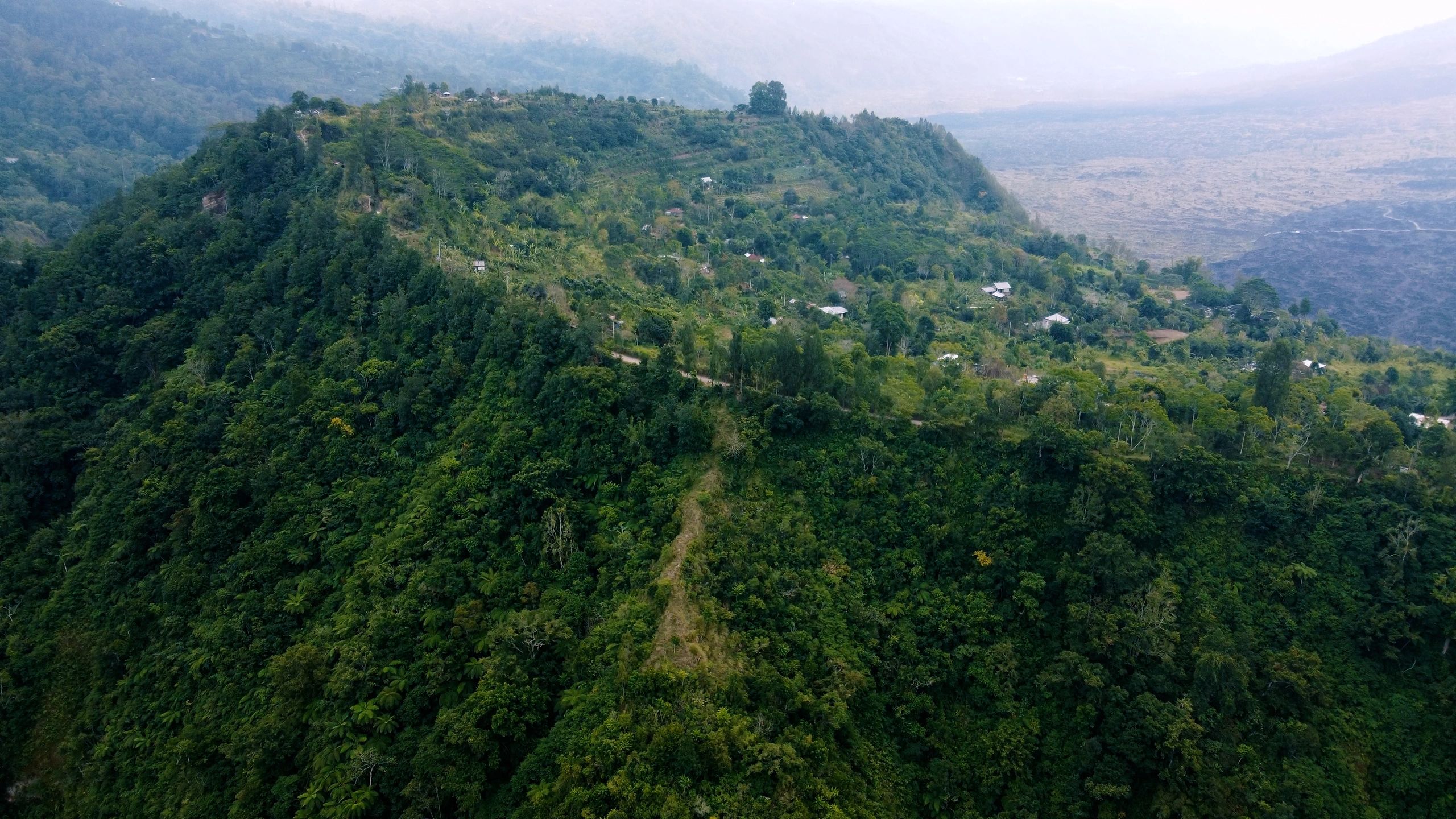 Aerial view of a green mountain ridge covered in forest
