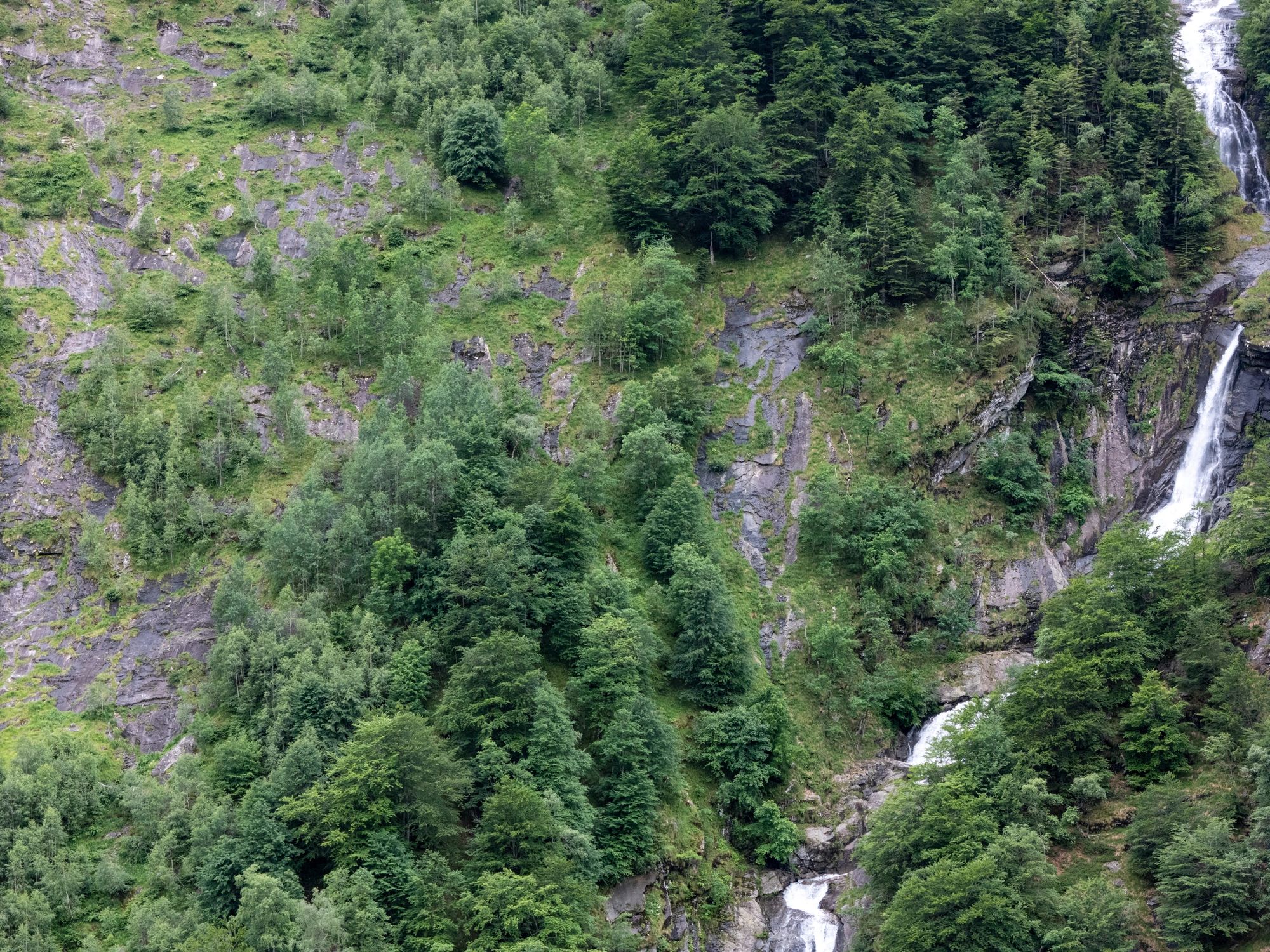 Waterfall cascading down a forested mountainside