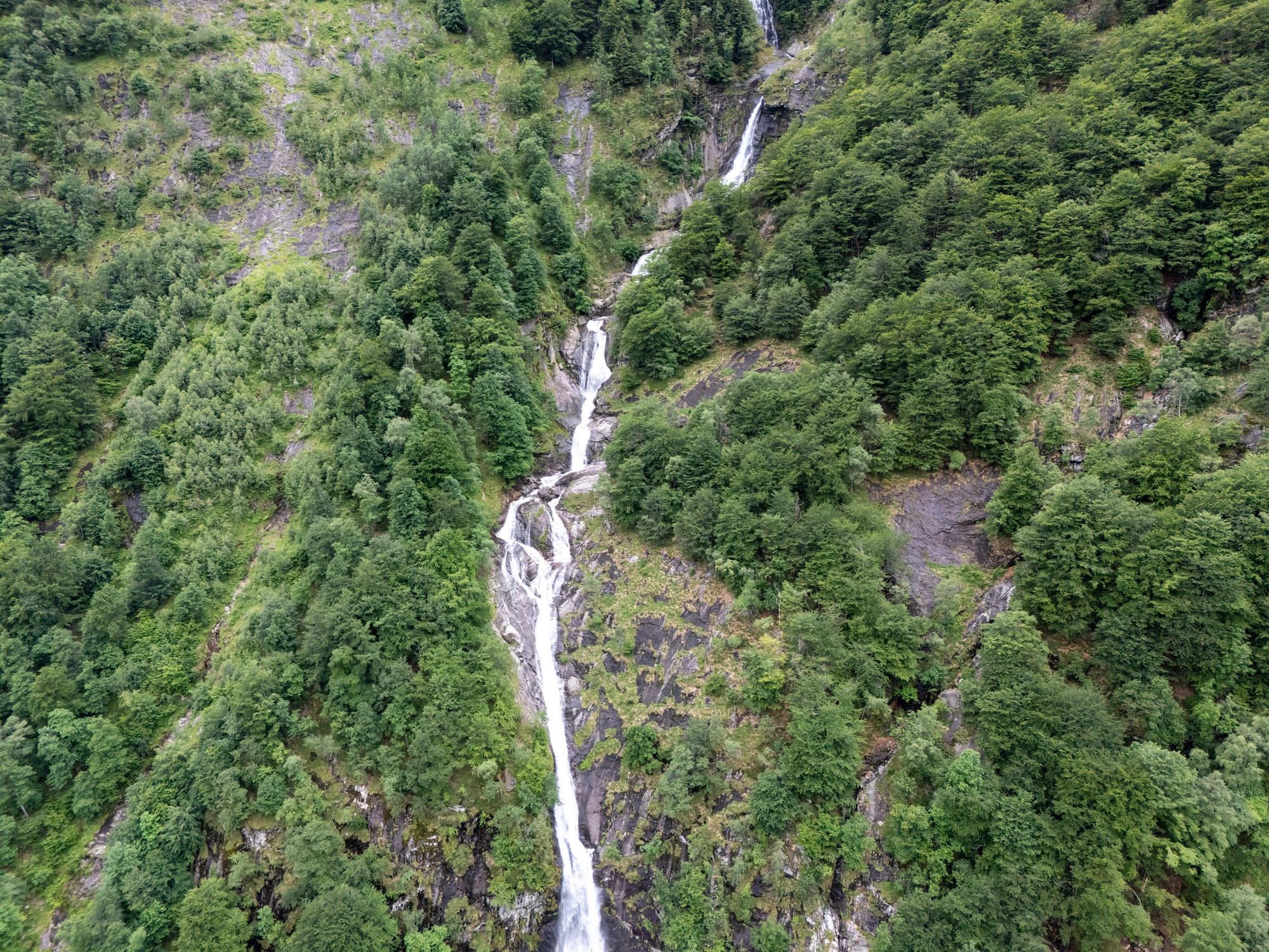 Forested mountain slope with a cascading waterfall