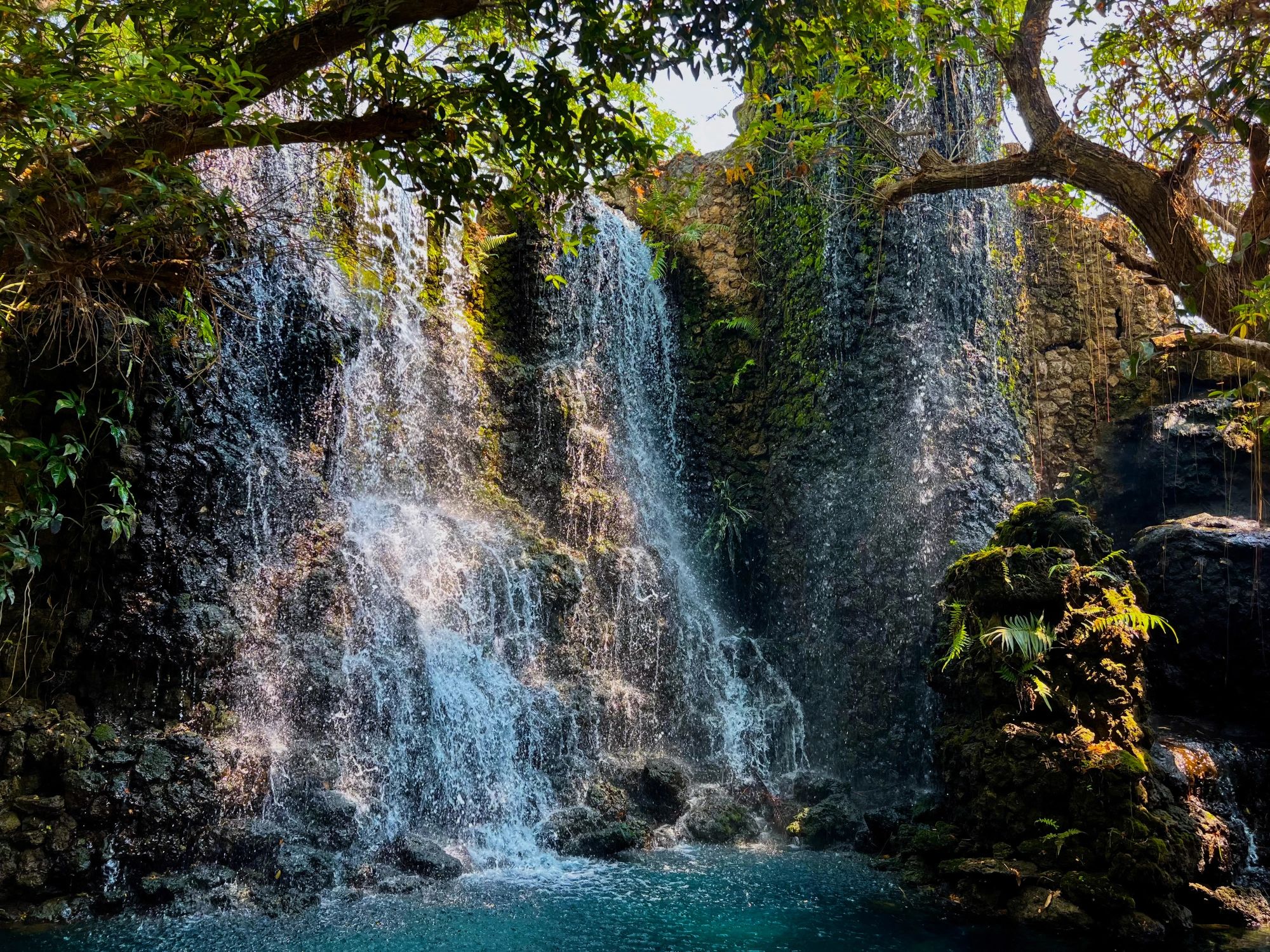 Waterfall cascading into a jungle pool