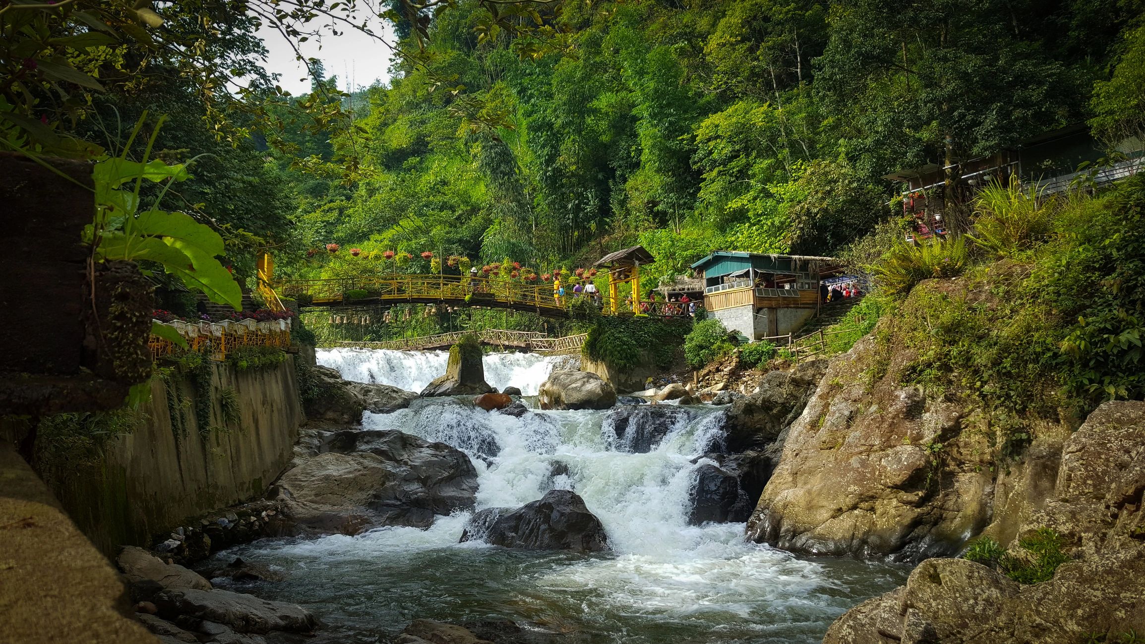 Waterfall scene in a lush landscape