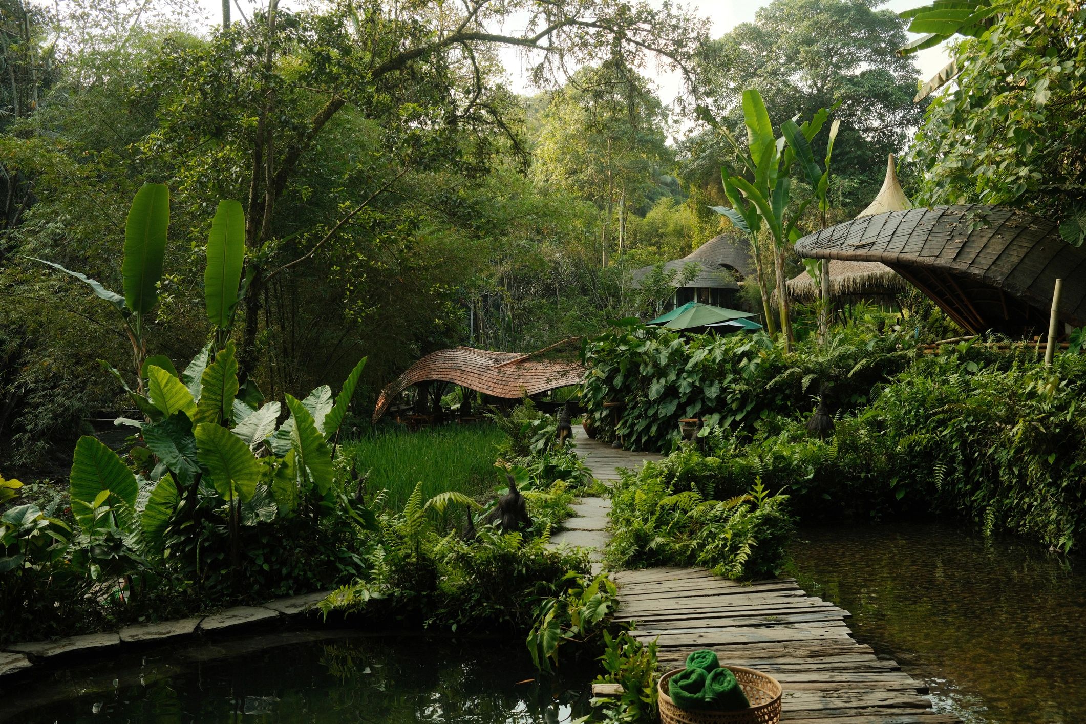 Wooden path through lush jungle leading toward small resort huts