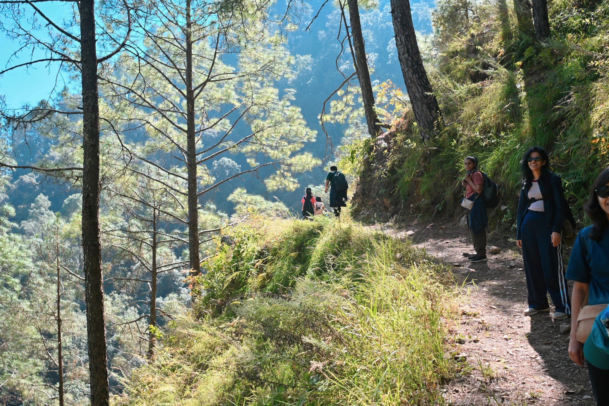 Group hiking along a scenic mountain trail through pine forest