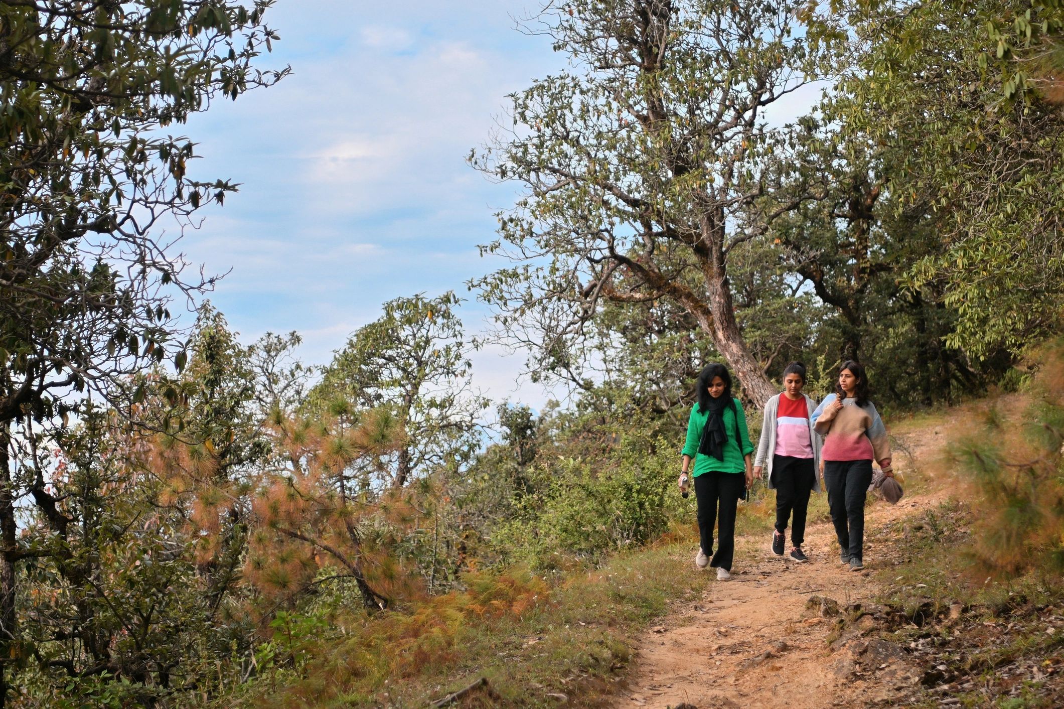 Three women walking on a forest trail