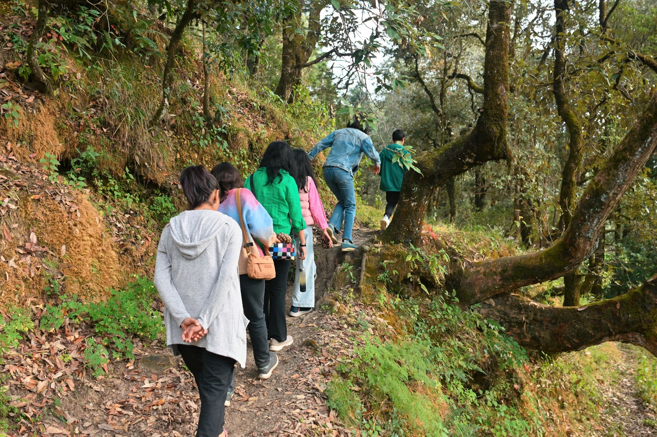 Group hiking along a narrow forest trail